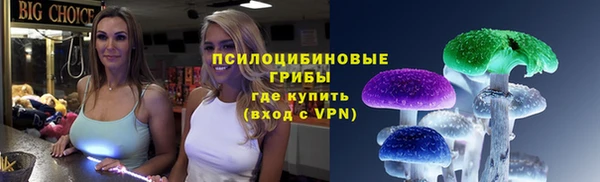 ALPHA PVP Гусев