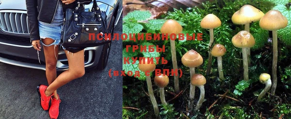 хмурый Горняк