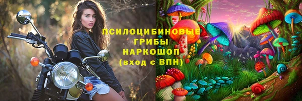 хмурый Горняк
