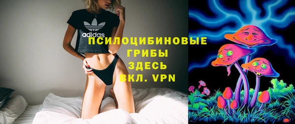хмурый Горняк