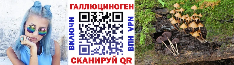 Псилоцибиновые грибы Psilocybe Рыбинск